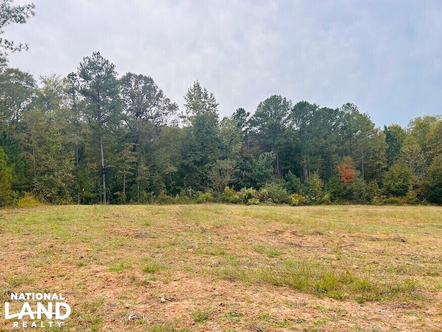 Turnkey Hunting Recreational Land in Meriwether County, (50