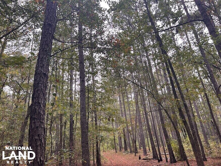 Turnkey Hunting Recreational Land in Meriwether County, (50