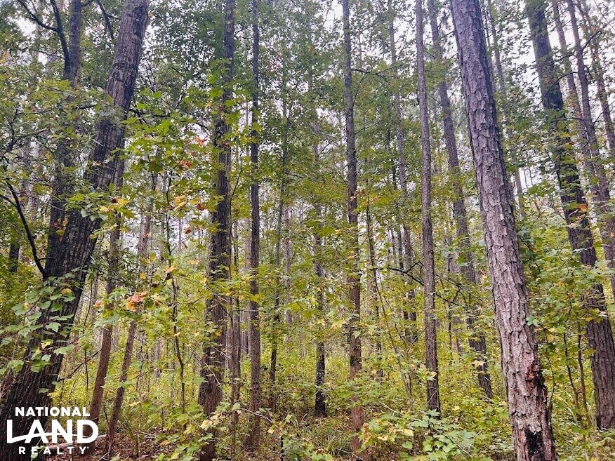 Turnkey Hunting Recreational Land in Meriwether County, (50