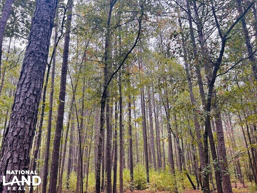 Turnkey Hunting Recreational Land in Meriwether County, (50