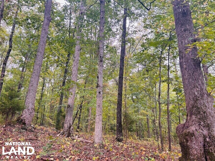 Turnkey Hunting Recreational Land in Meriwether County, (50