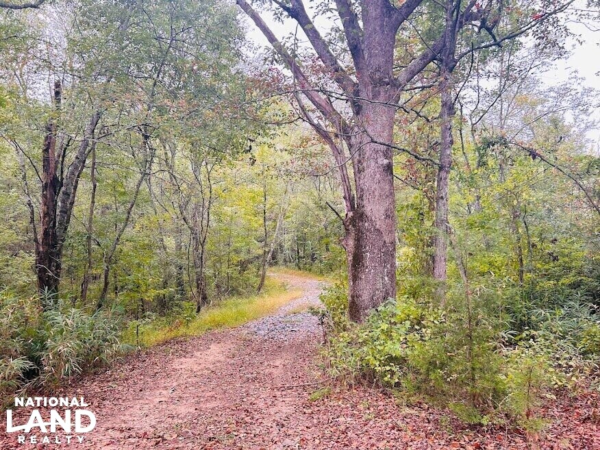 Turnkey Hunting Recreational Land in Meriwether County, (50