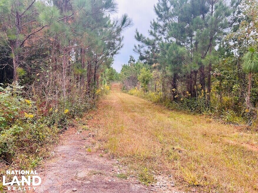 Turnkey Hunting Recreational Land in Meriwether County, (50