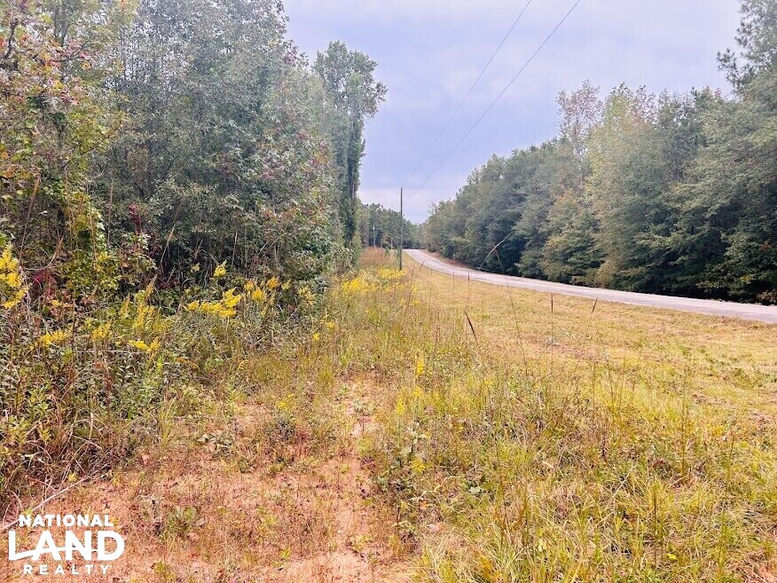 Turnkey Hunting Recreational Land in Meriwether County, (50