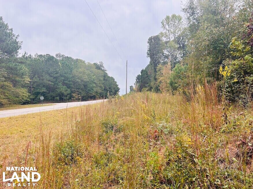 Turnkey Hunting Recreational Land in Meriwether County, (50