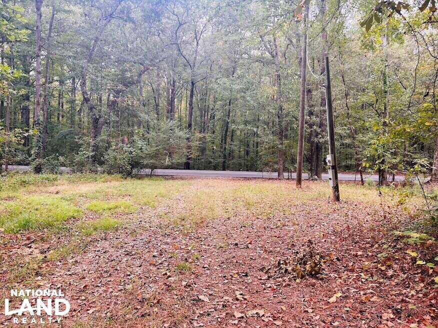 Turnkey Hunting Recreational Land in Meriwether County, (50