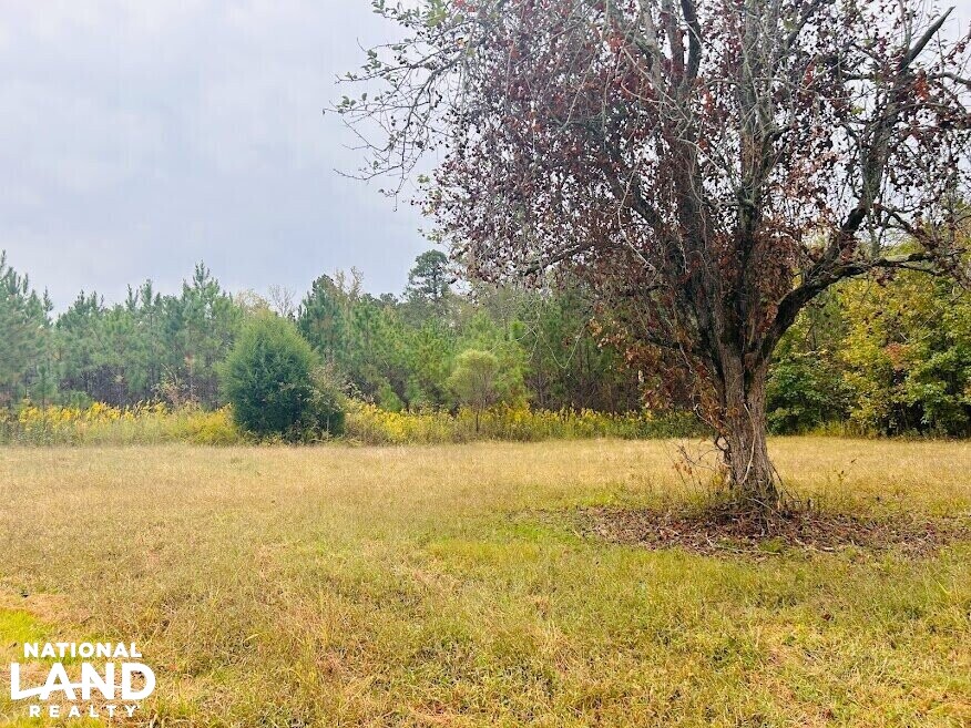 Turnkey Hunting Recreational Land in Meriwether County, (50