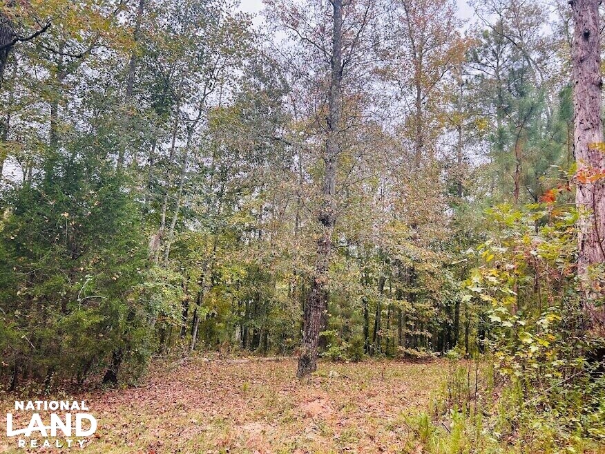Turnkey Hunting Recreational Land in Meriwether County, (50