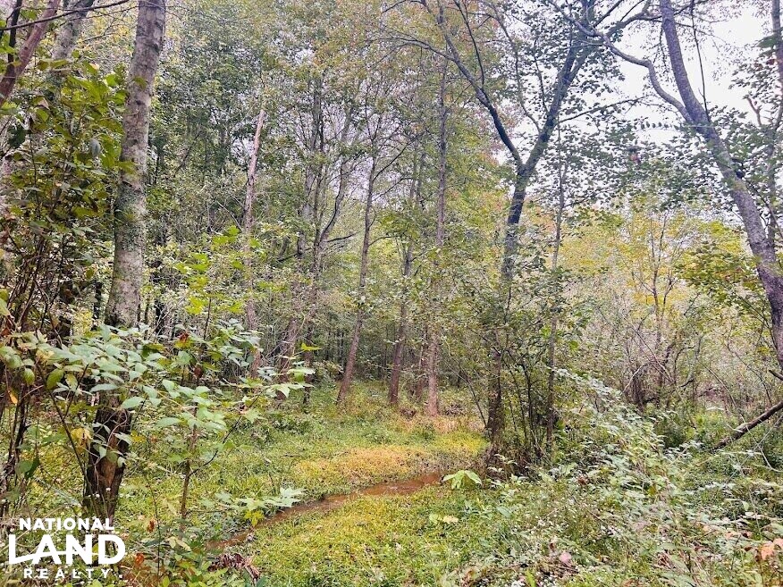 Turnkey Hunting Recreational Land in Meriwether County, (50