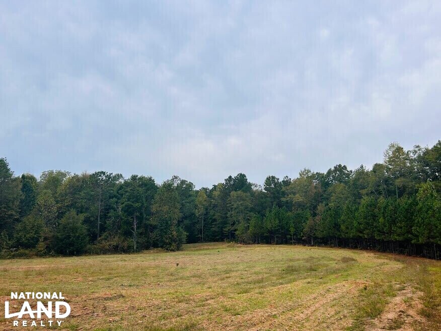 Turnkey Hunting Recreational Land in Meriwether County, (50