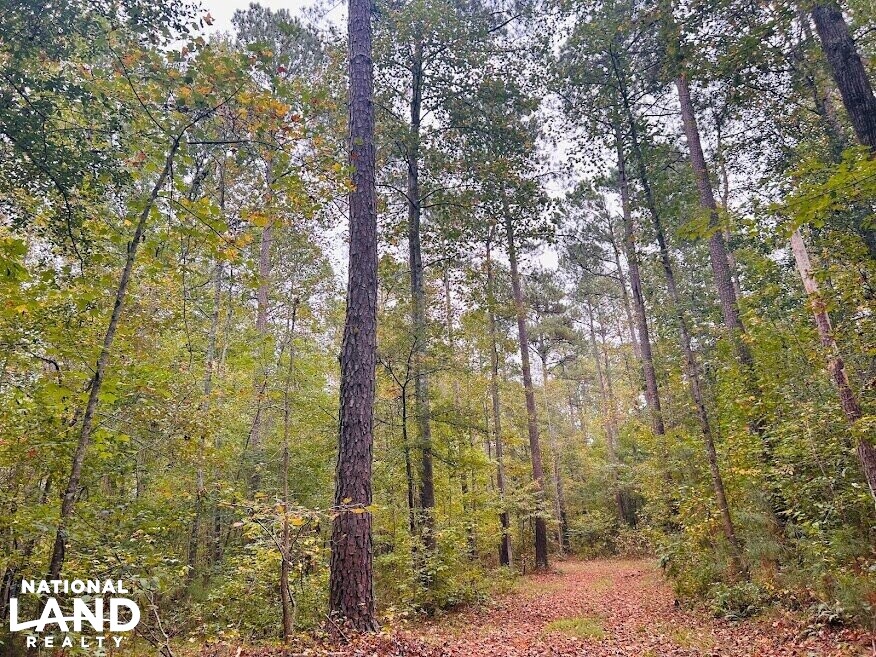 Turnkey Hunting Recreational Land in Meriwether County, (50