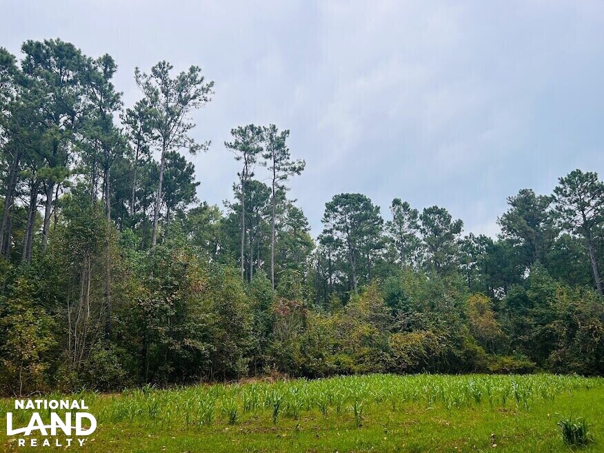 Turnkey Hunting Recreational Land in Meriwether County, (50