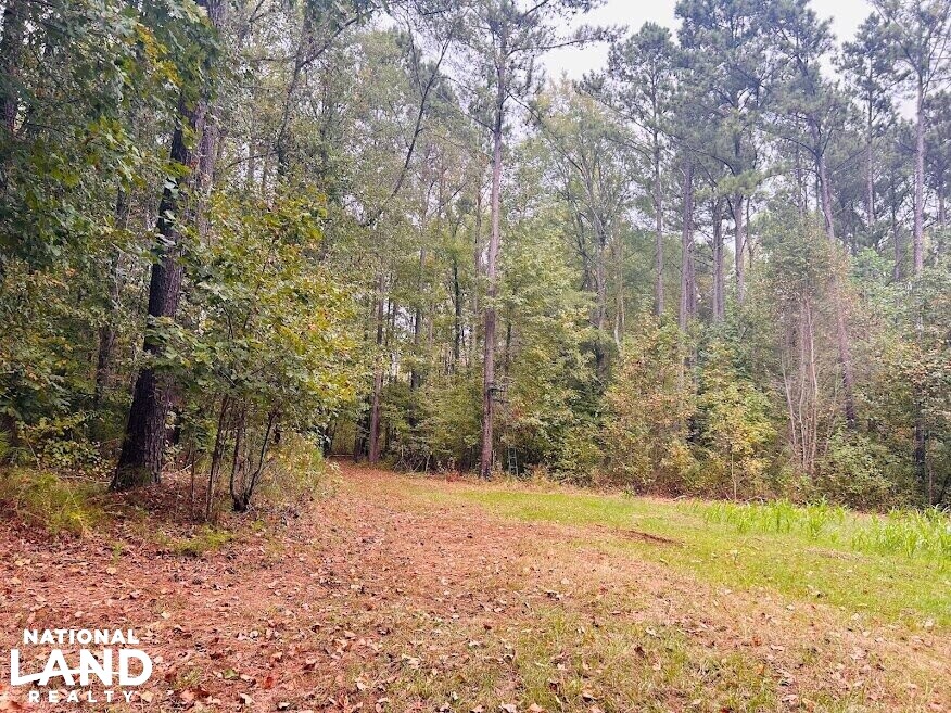 Turnkey Hunting Recreational Land in Meriwether County, (50