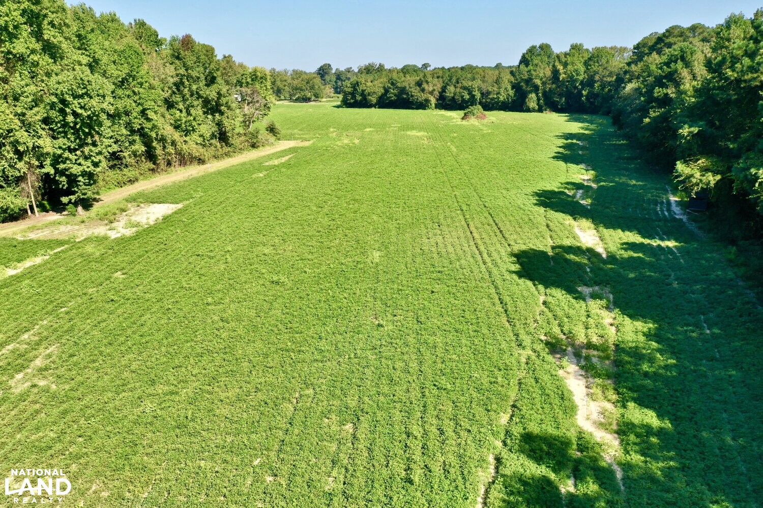 Dew Farm in Sampson County, North Carolina (25 Photos) National Land Realty