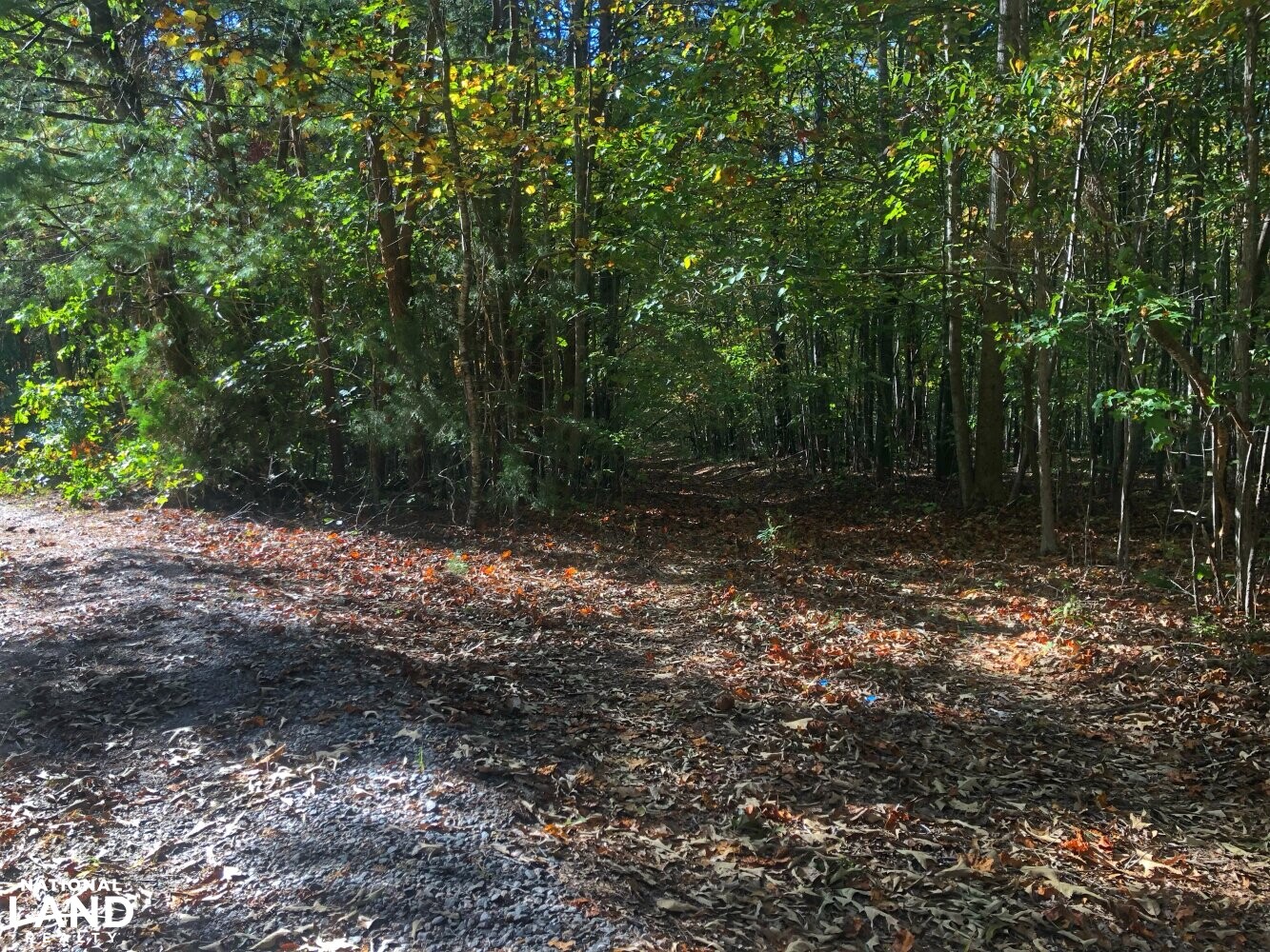 Land with Creek in Burke County, North Carolina (22 Photos