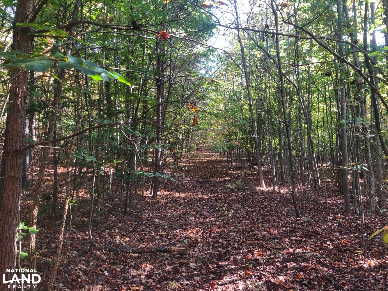 Land with Creek in Burke County, North Carolina (22 Photos