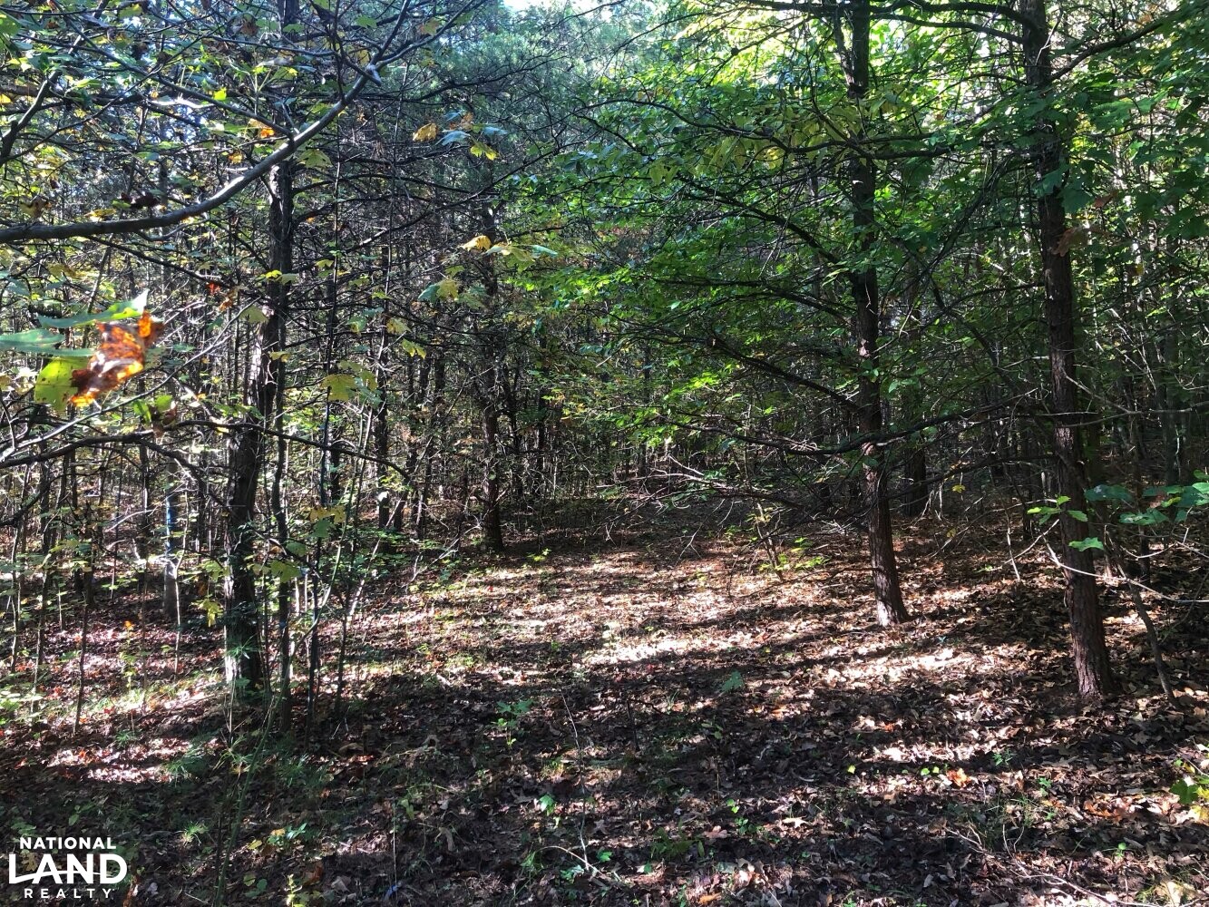 Land with Creek in Burke County, North Carolina (22 Photos