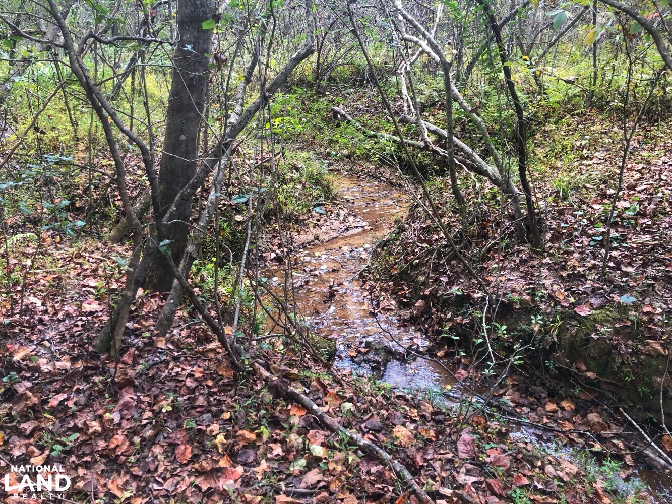 Land with Creek in Burke County, North Carolina (22 Photos