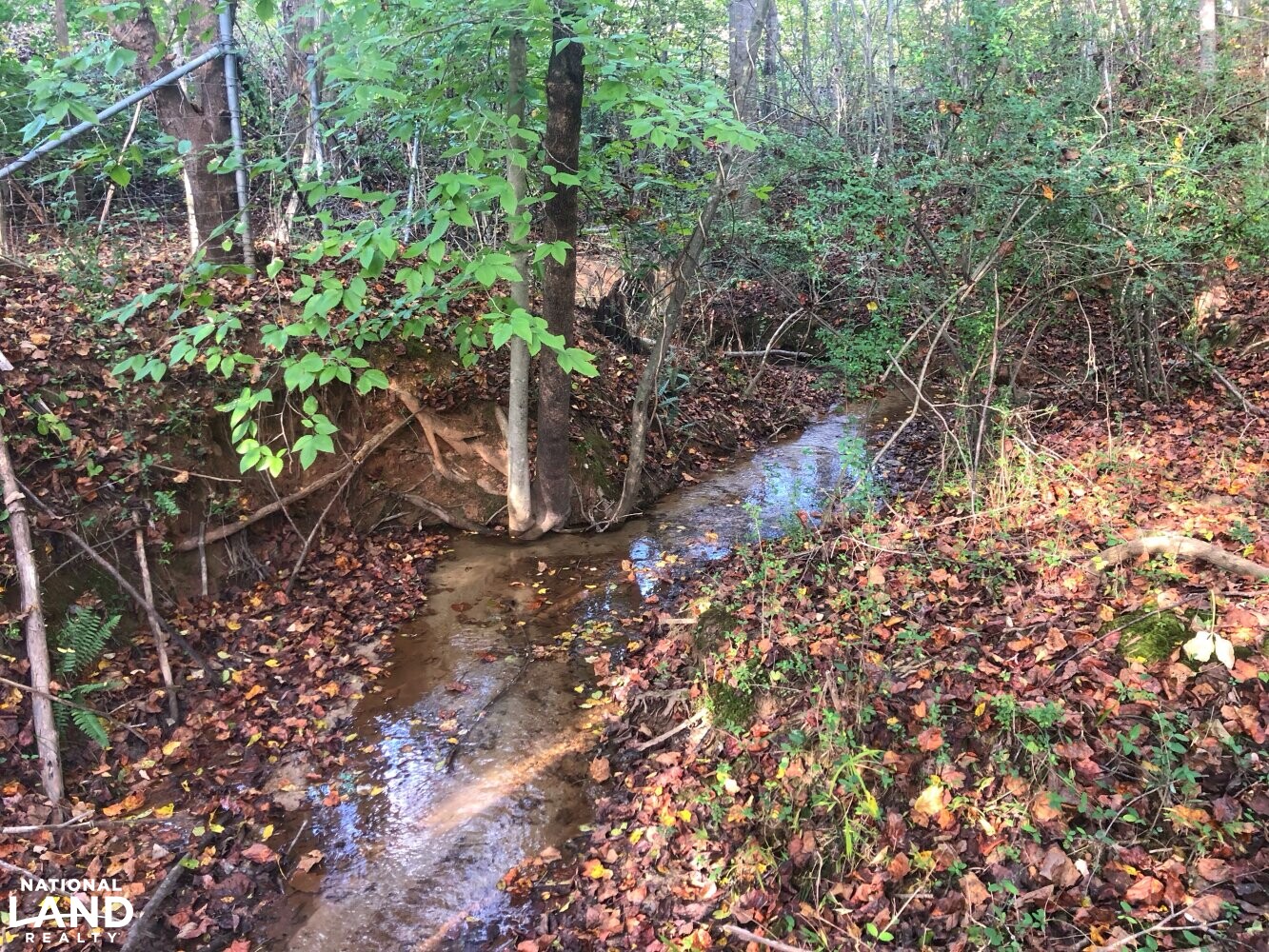 Land with Creek in Burke County, North Carolina (22 Photos