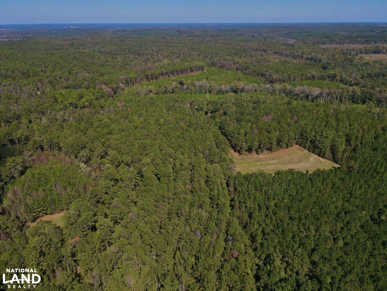 Hurricane Creek Timber Farm in Barbour County, Alabama (35 Photos