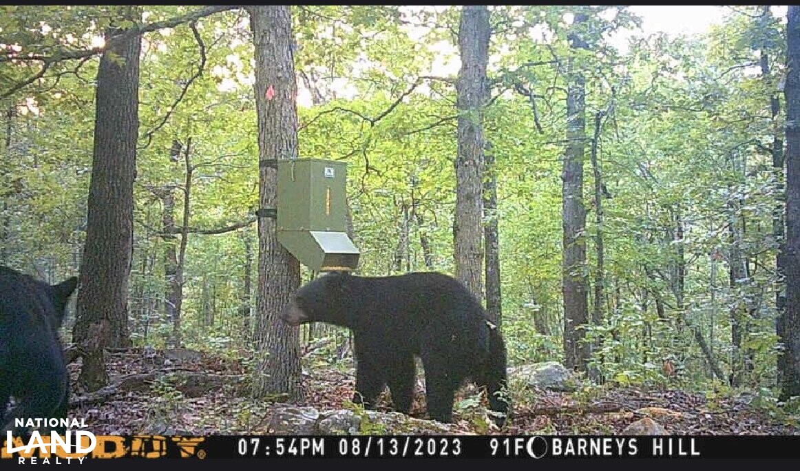 Ouachita Retreat in Latimer County, Oklahoma (40 Photos) National