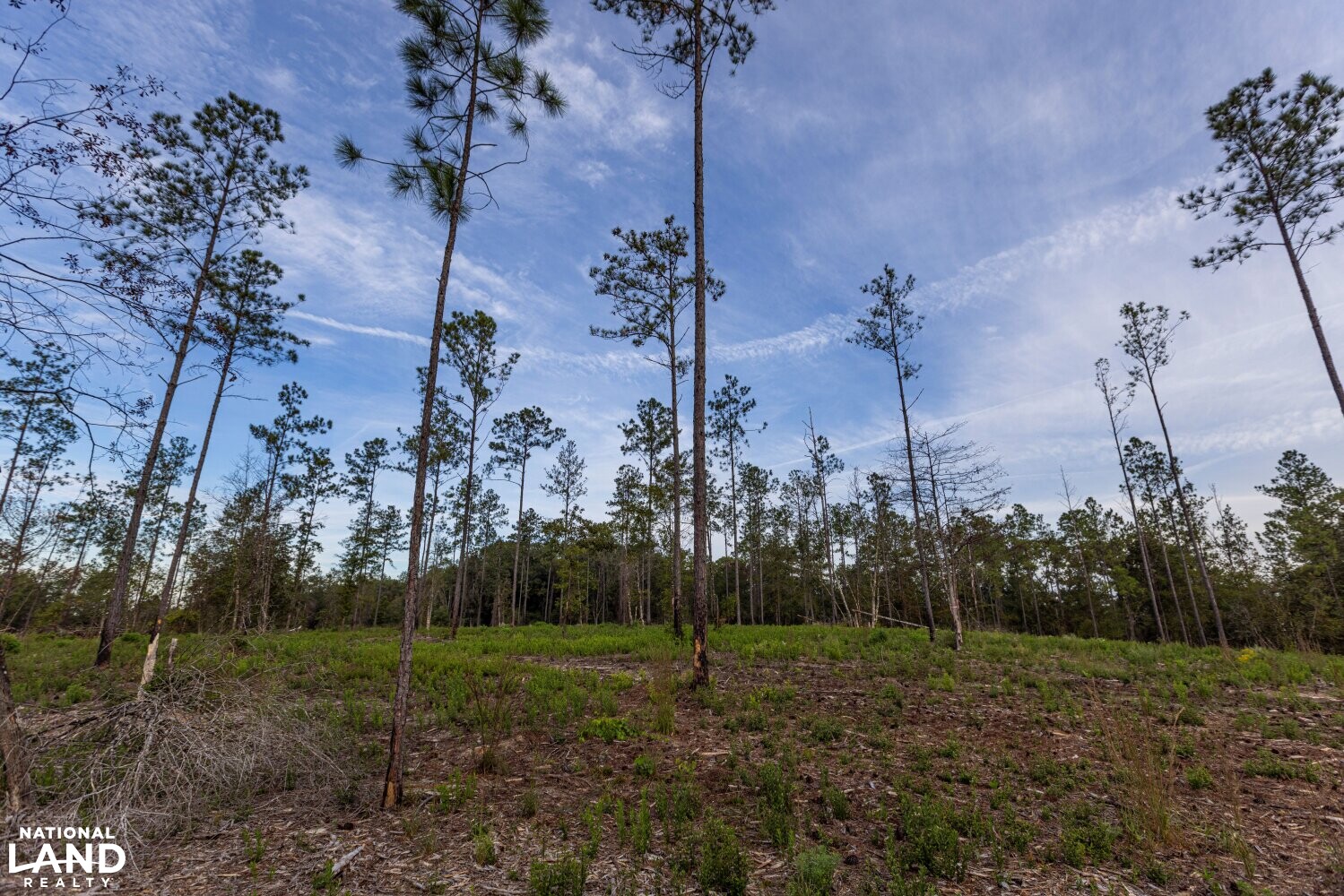 Whitehouse Creek Estates Homesite Lot 6 in Baldwin County, Alabama (19