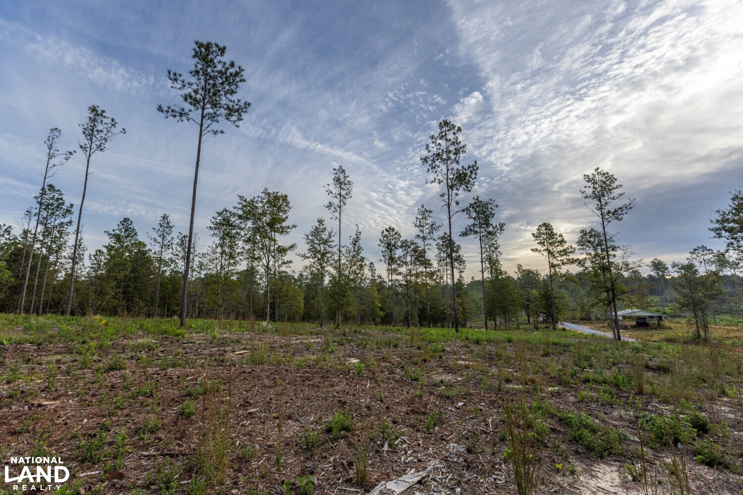 Whitehouse Creek Estates Homesite Lot 6 in Baldwin County, Alabama (19