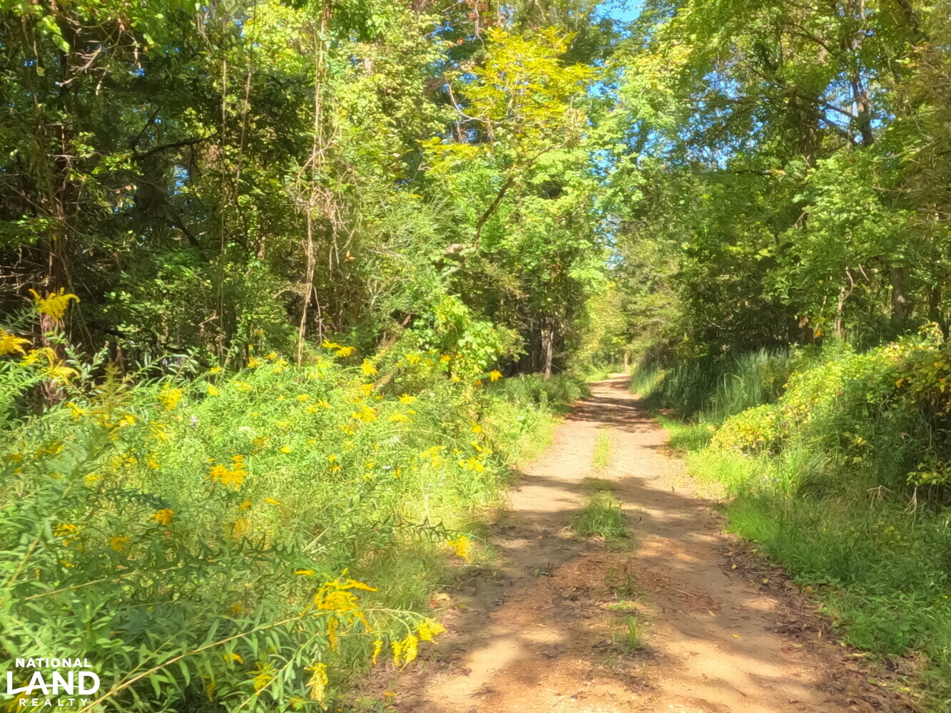 Woodville Deer Hunter’s Paradise in Wilkinson County, Mississippi (37