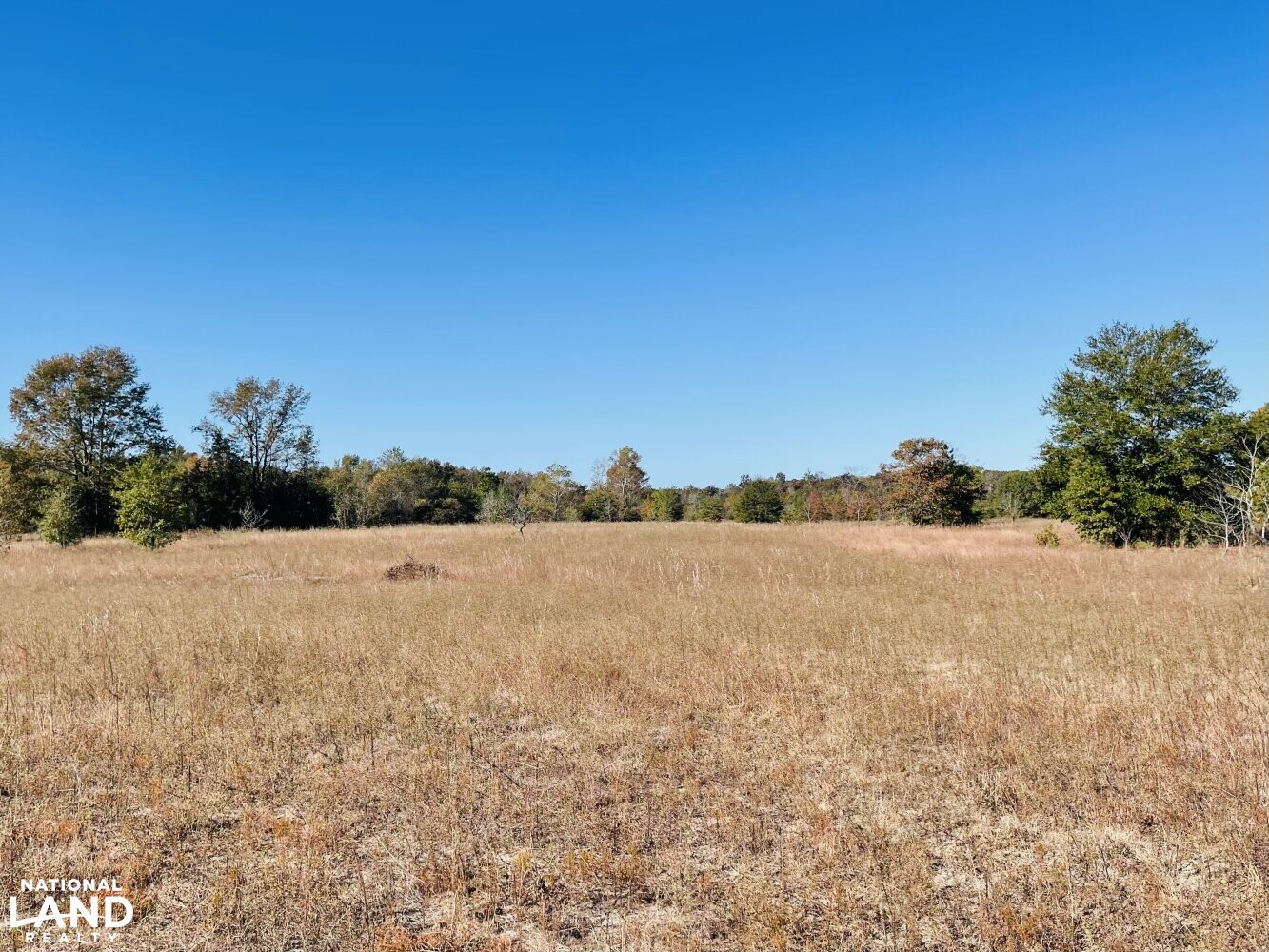 Island Fields River Tract in Sampson County, North Carolina (27 Photos