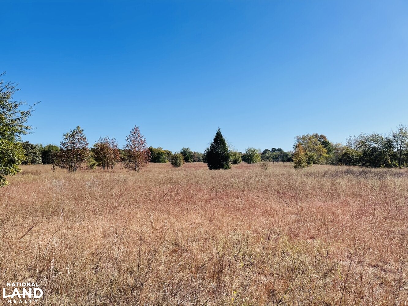 Island Fields River Tract in Sampson County, North Carolina (27 Photos