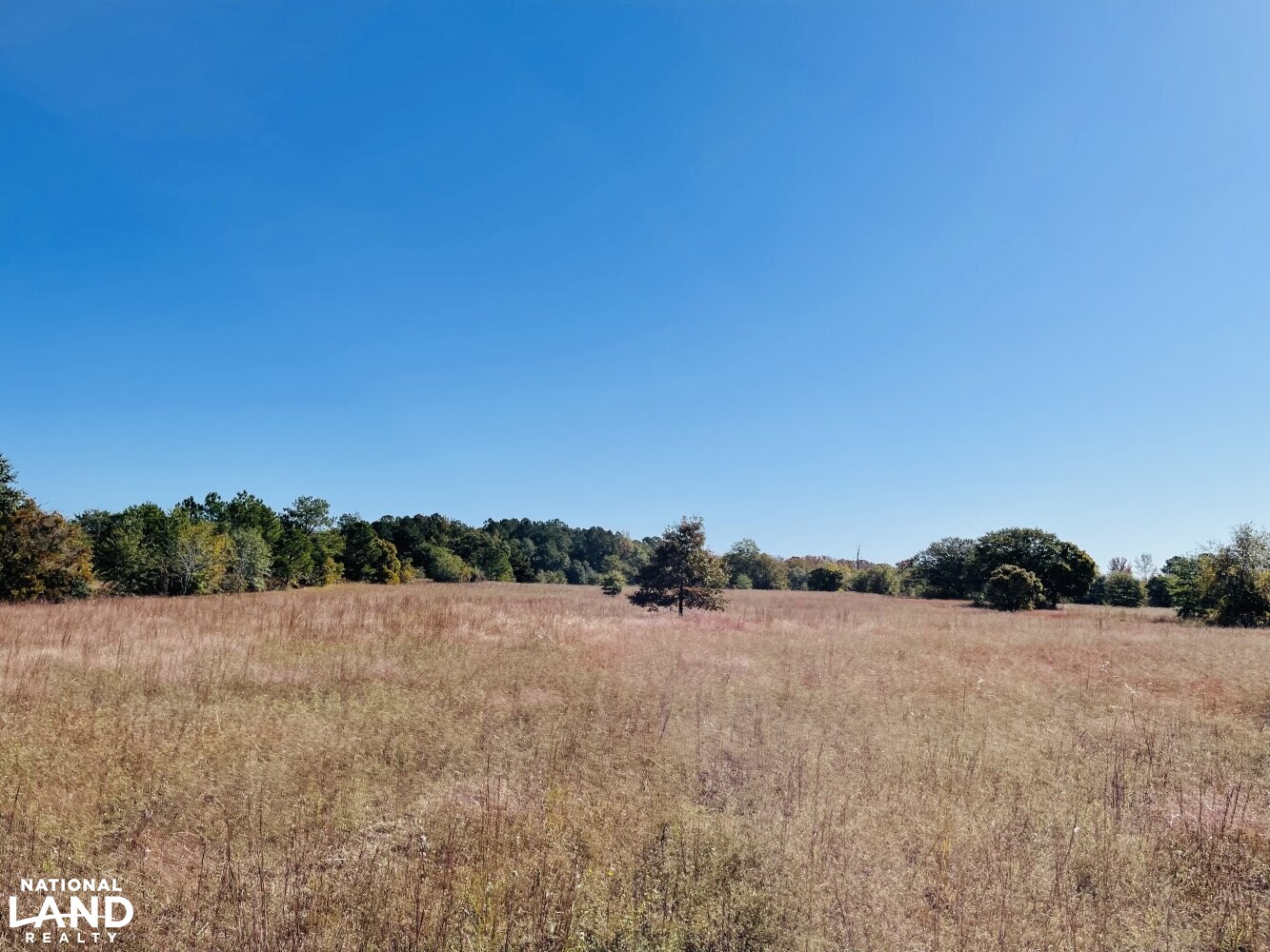 Island Fields River Tract in Sampson County, North Carolina (27 Photos