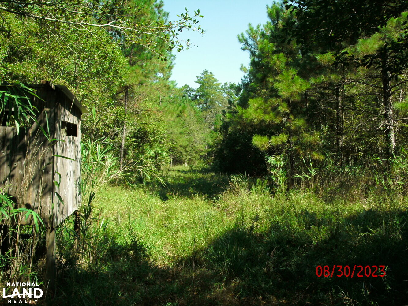 Two 40 Acre Tracts or One 80 Acre Tract in Saint Tammany Parish, Louisiana (6 Photos) National