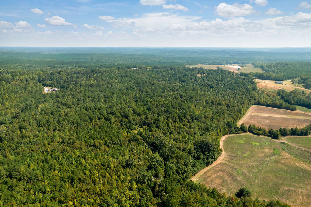 Maplesville Residential, Homesite, and Hobby Farm in Chilton County