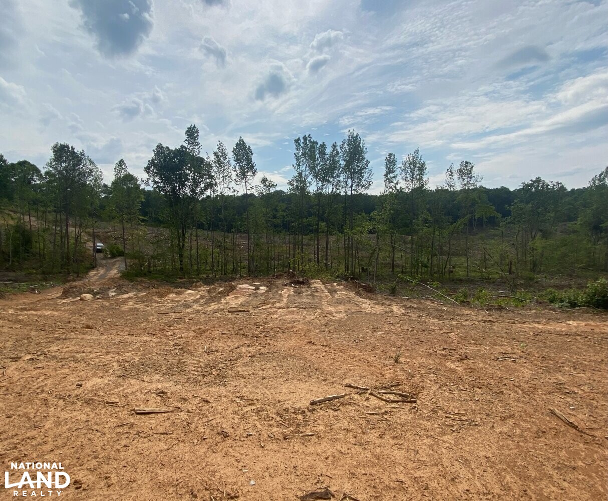 Brilliant Hunting Tract in Marion County, Alabama (23 Photos