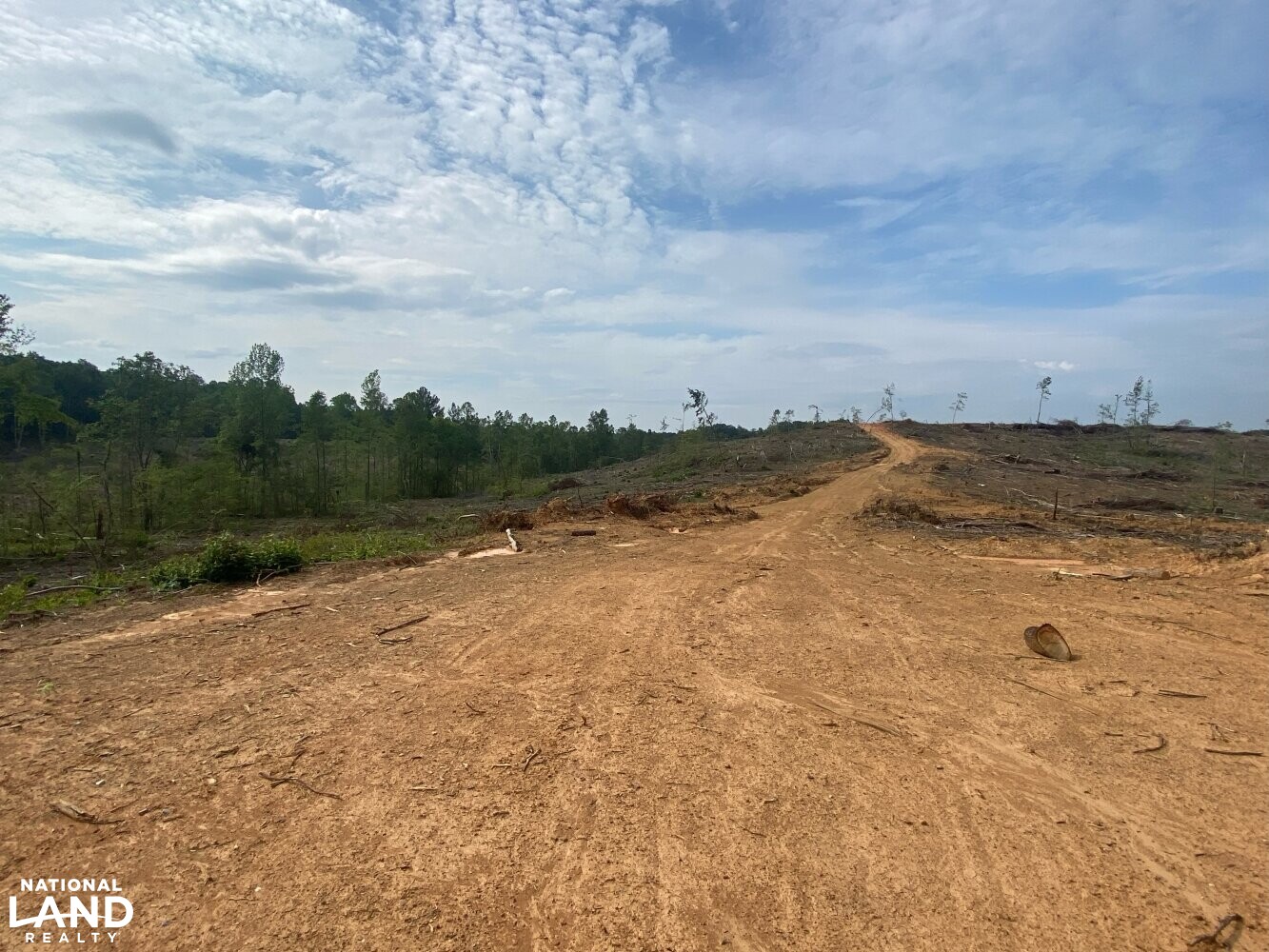 Brilliant Hunting Tract in Marion County, Alabama (23 Photos