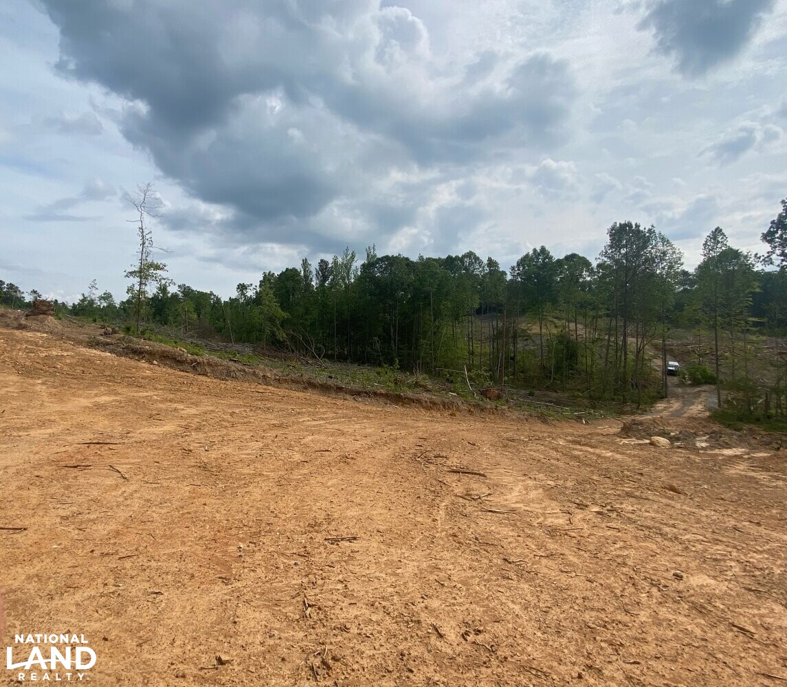 Brilliant Hunting Tract in Marion County, Alabama (23 Photos