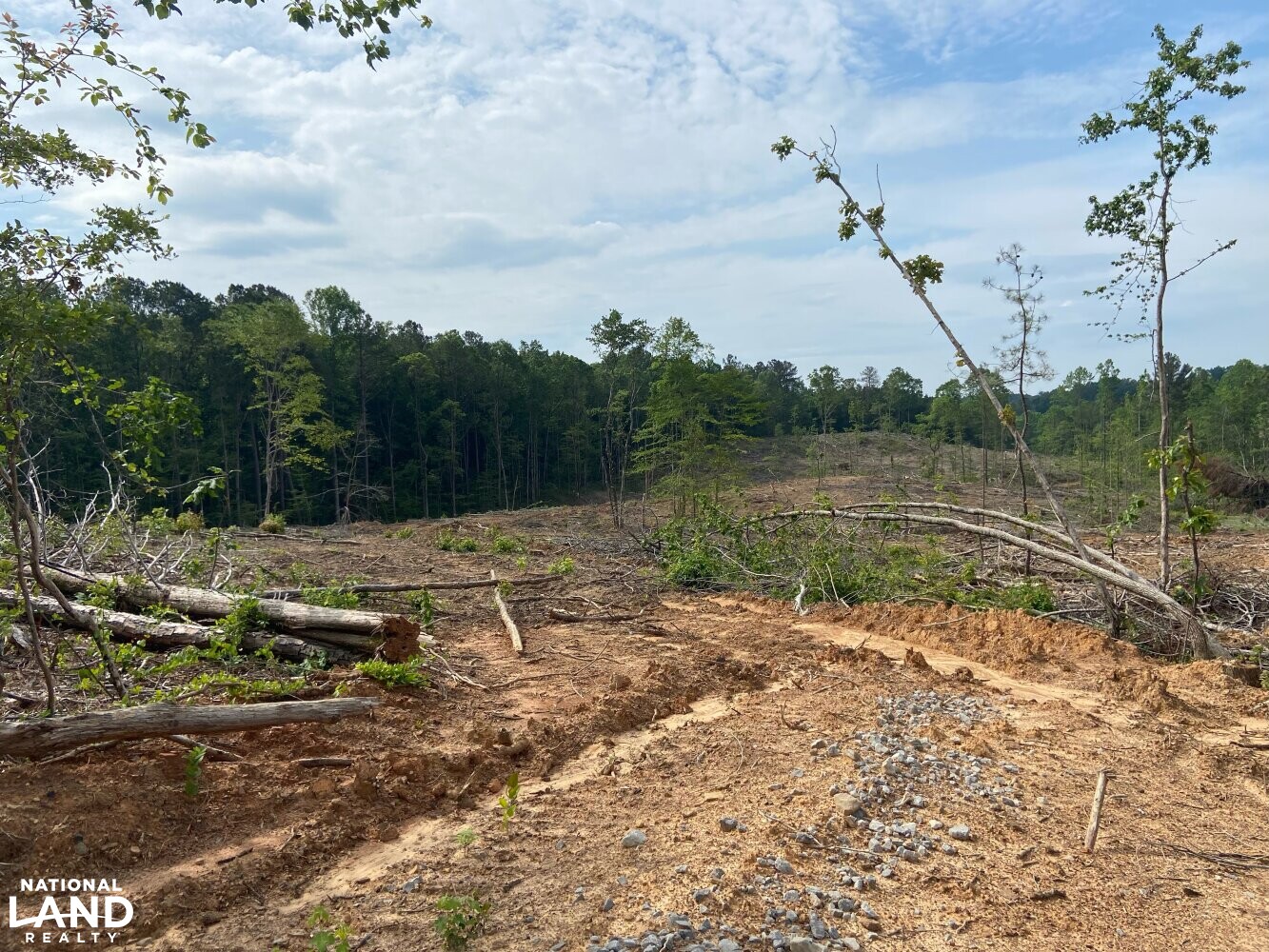 Brilliant Hunting Tract in Marion County, Alabama (23 Photos