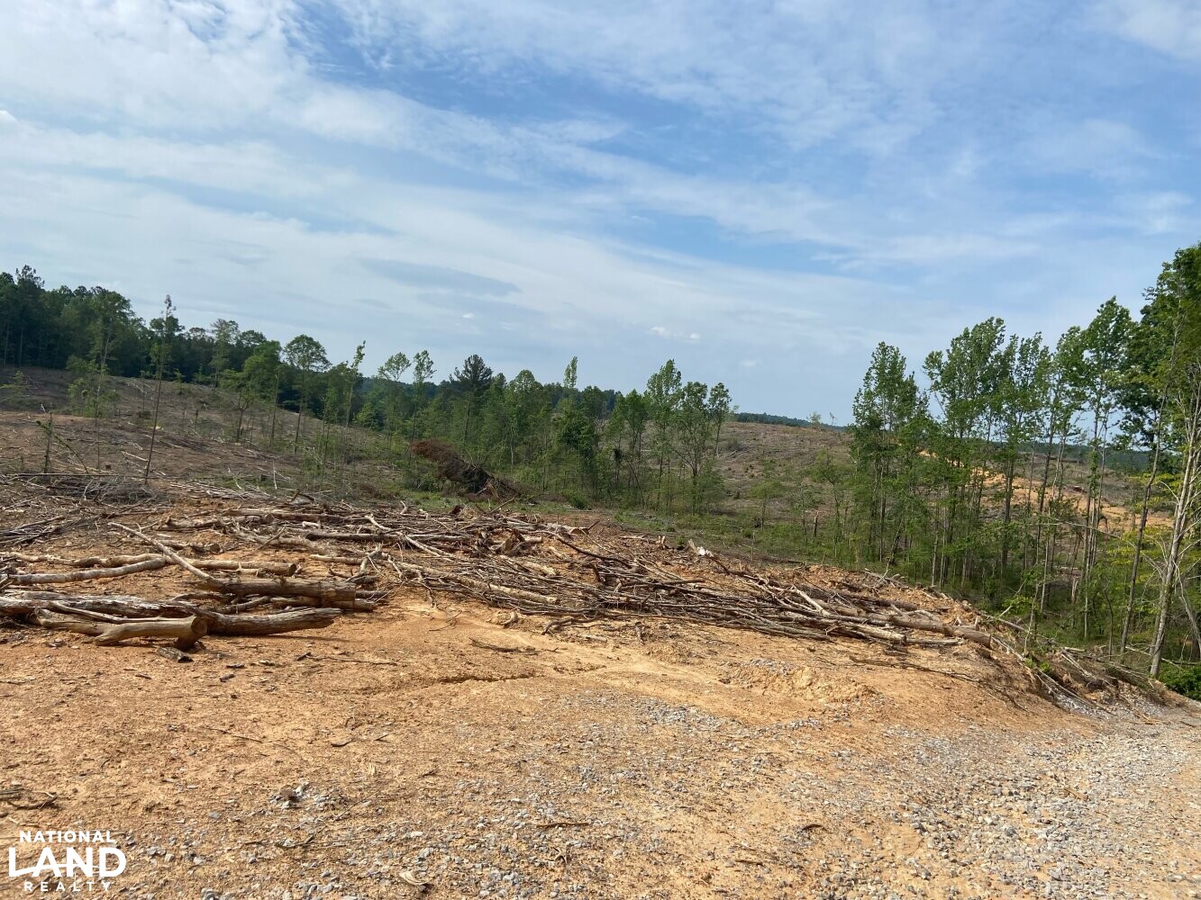 Brilliant Hunting Tract in Marion County, Alabama (23 Photos