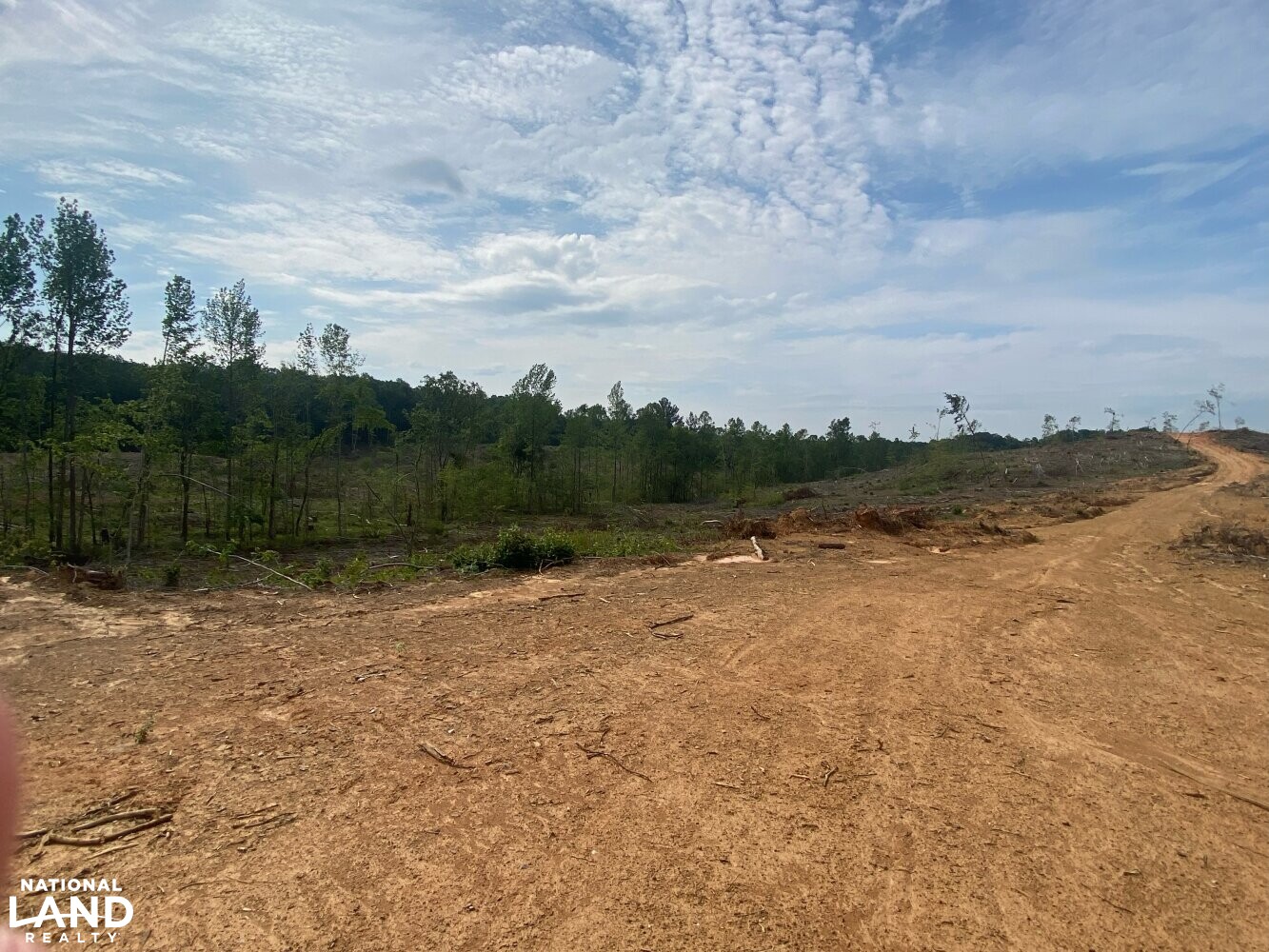 Brilliant Hunting Tract in Marion County, Alabama (23 Photos