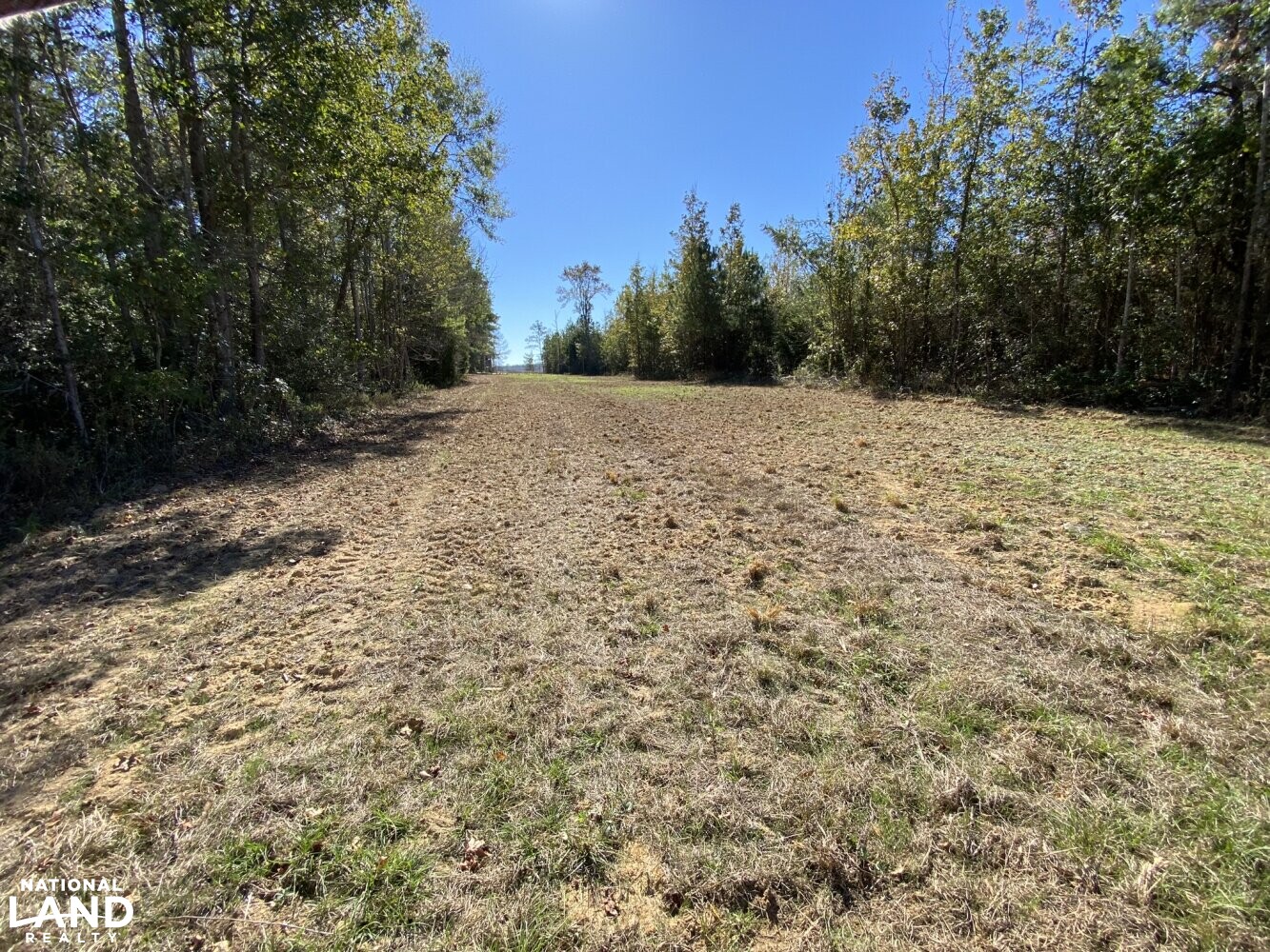 Co. Rd. 614 Maplesville Hunting Tract in Chilton County, Alabama (22