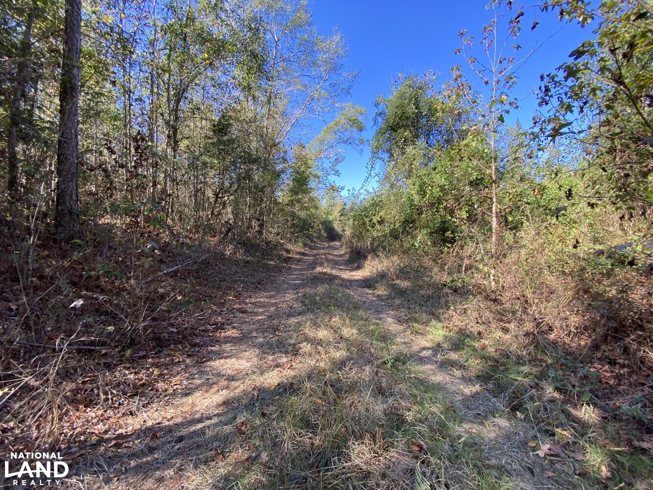 Co. Rd. 614 Maplesville Hunting Tract in Chilton County, Alabama (22 Photos) National Land