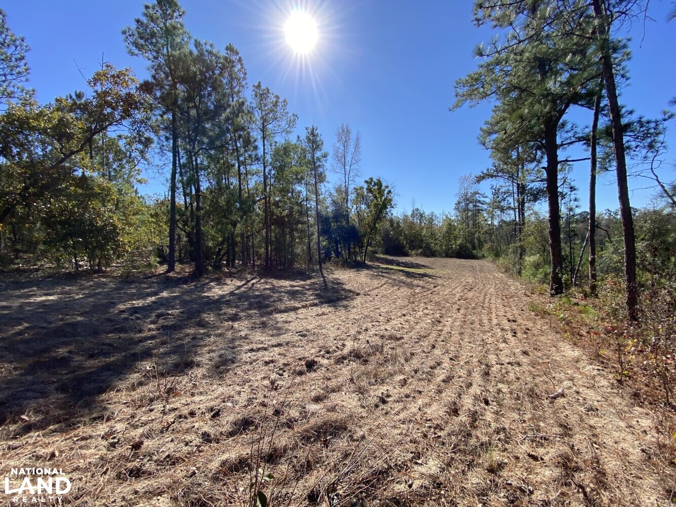 Co. Rd. 614 Maplesville Hunting Tract in Chilton County, Alabama (22 Photos) National Land