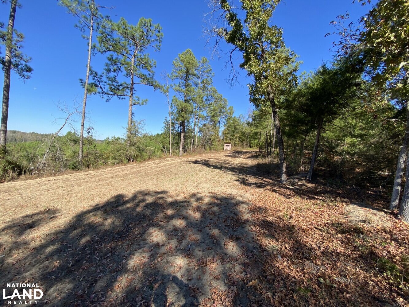 Co. Rd. 614 Maplesville Hunting Tract in Chilton County, Alabama (22 Photos) National Land