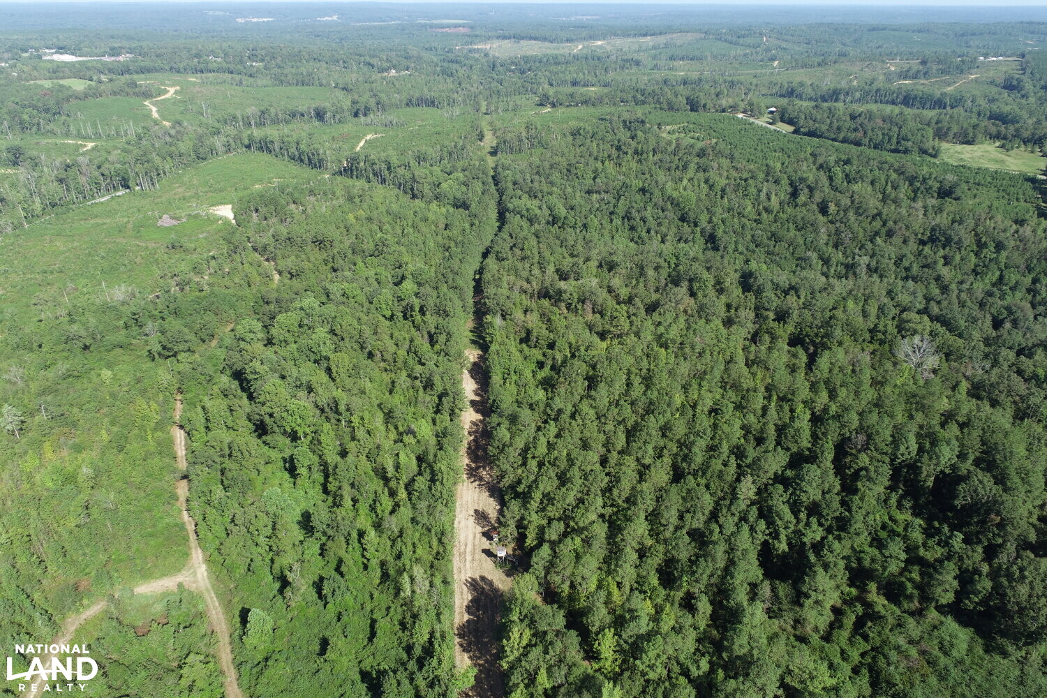 Co. Rd. 614 Maplesville Hunting Tract in Chilton County, Alabama (22 Photos) National Land