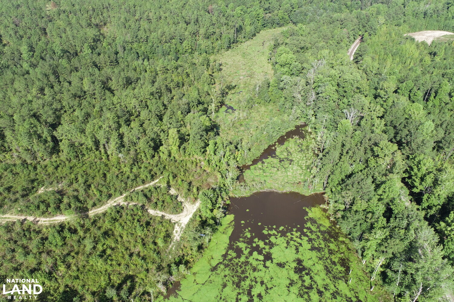 Co. Rd. 614 Maplesville Hunting Tract in Chilton County, Alabama (22 Photos) National Land