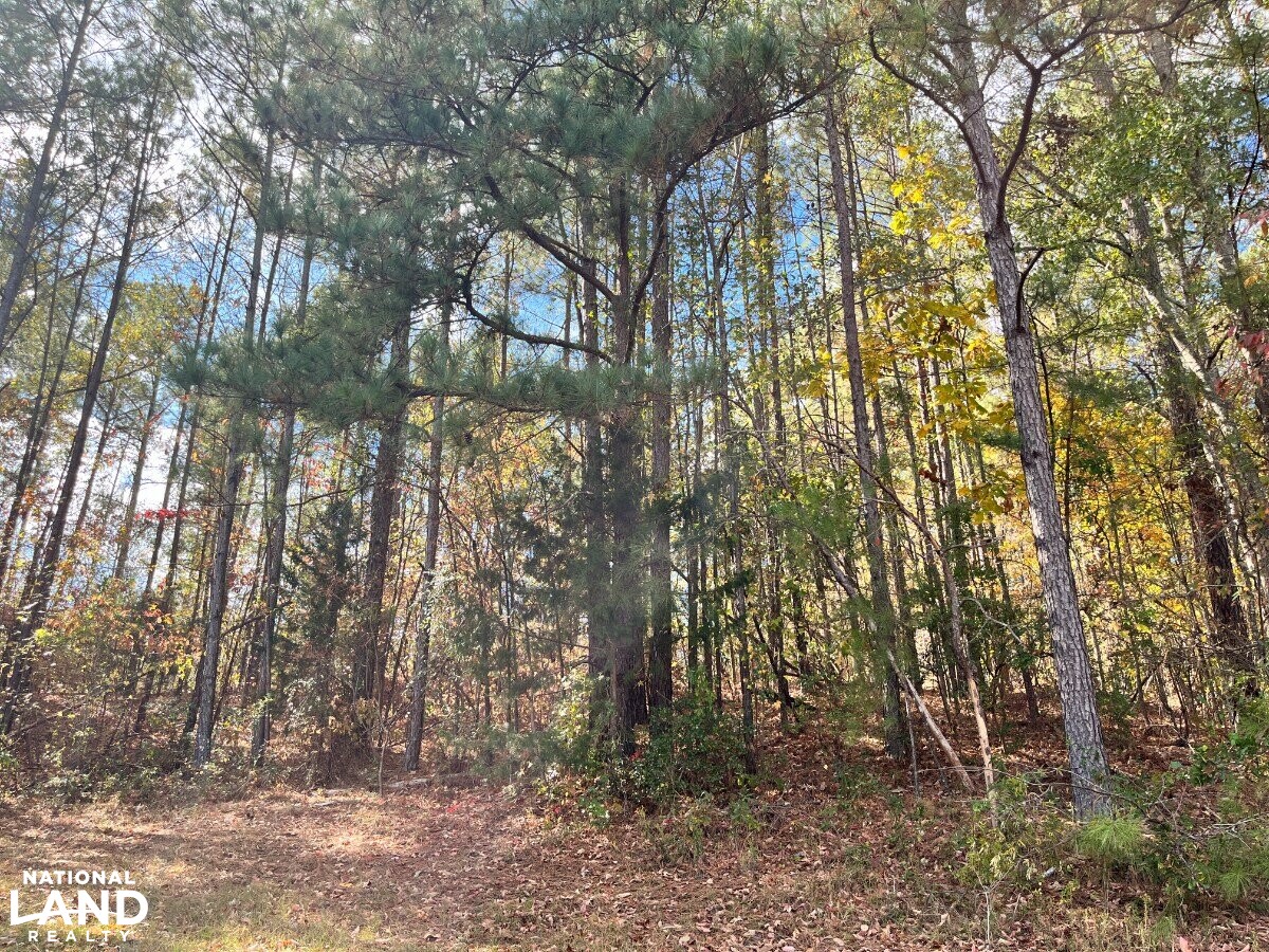 Starter Home/Investment Property With Small Pond Just North of