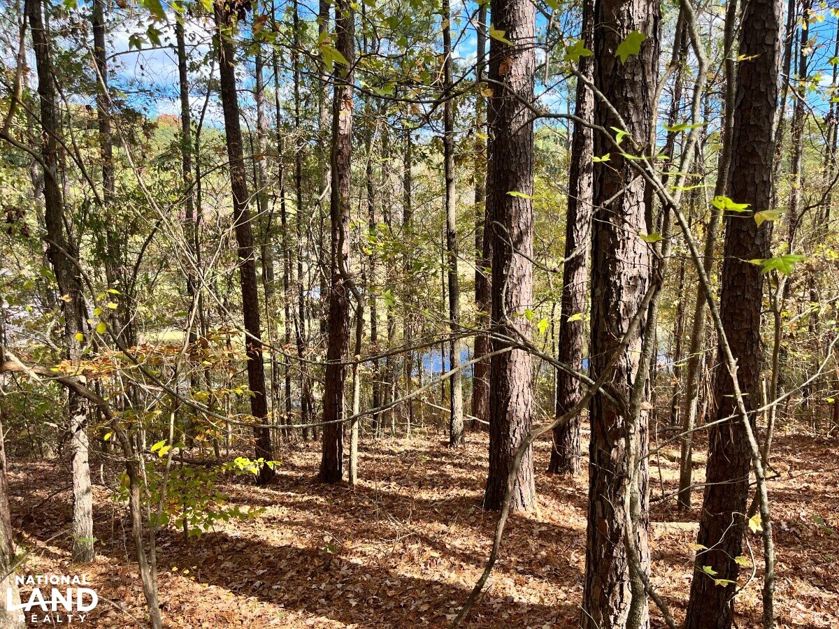 Starter Home/Investment Property With Small Pond Just North of