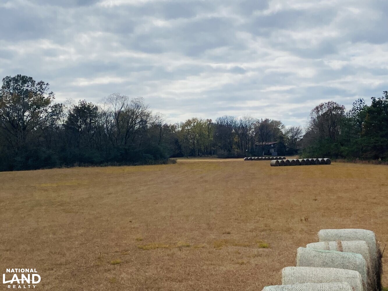 Fitch Farms, Galena Plantation in Marshall County, Mississippi (79