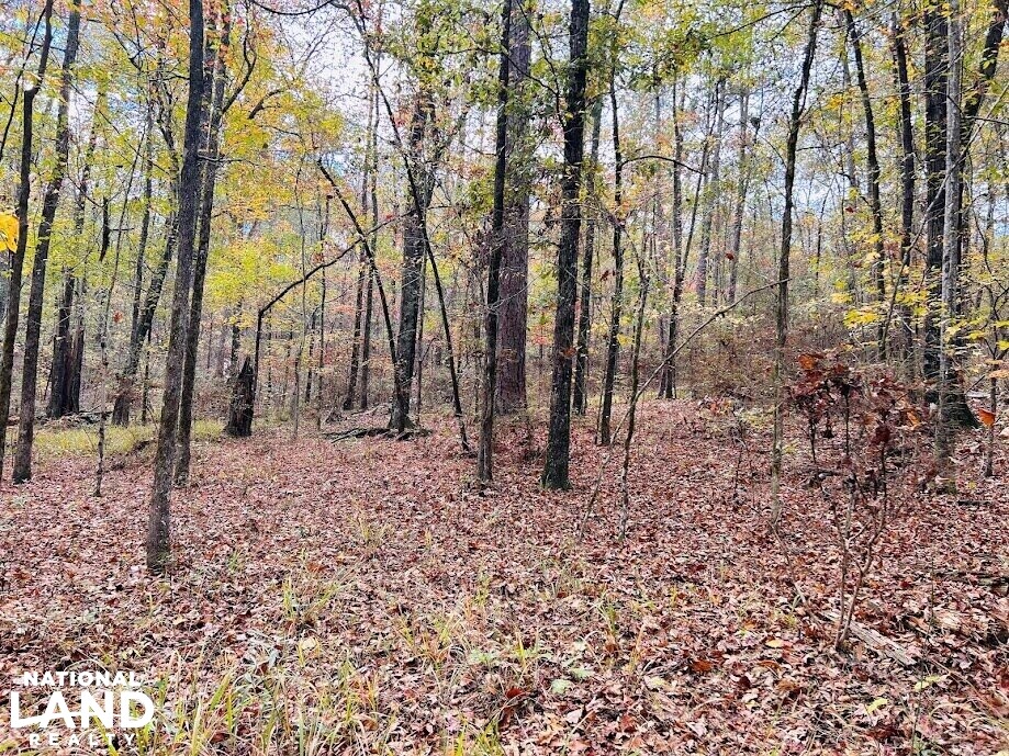 Roberta Rural Acreage in Crawford County, (15 Photos