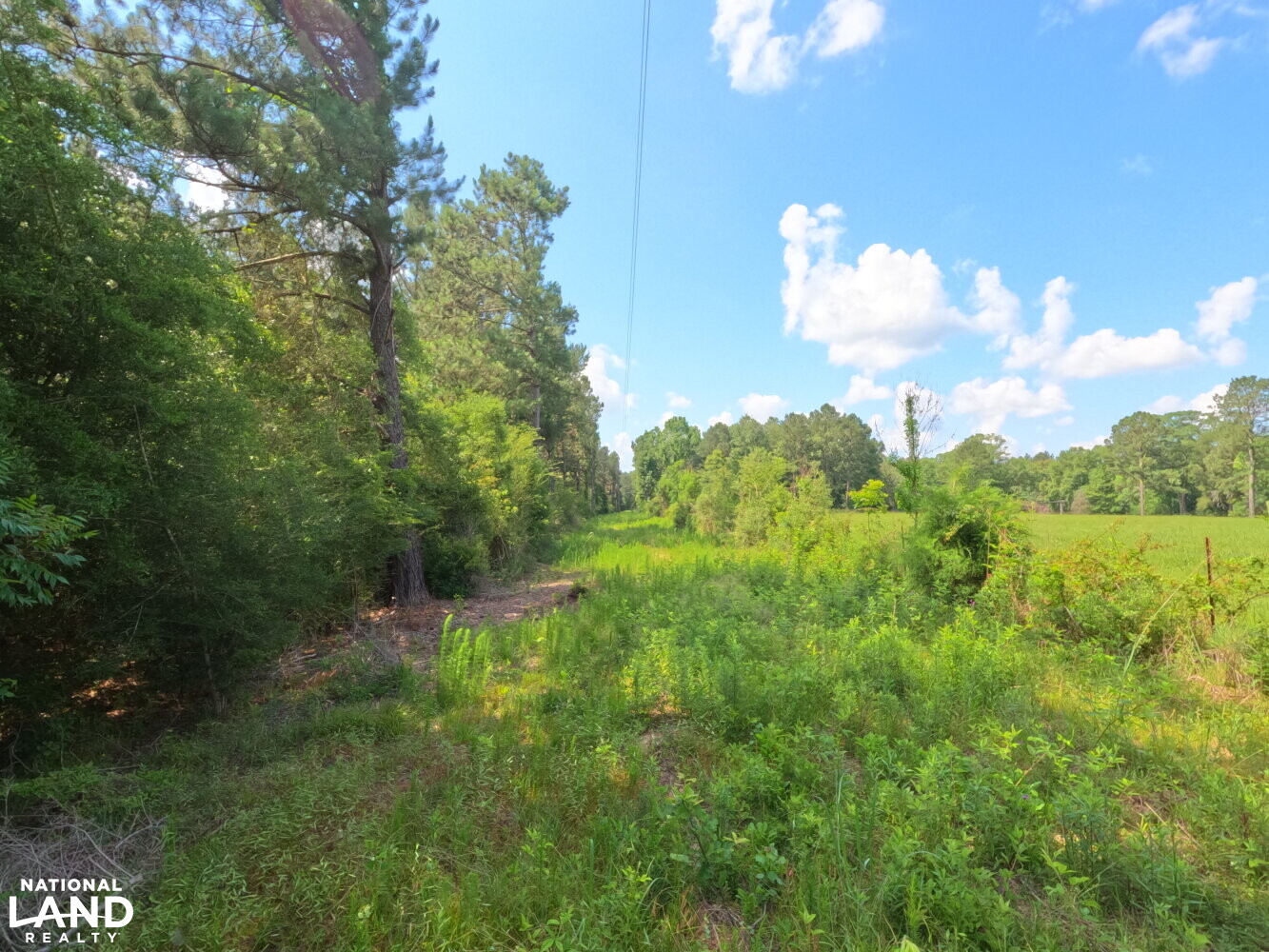 Rural Homesite outside of Clinton in East Feliciana Parish, Louisiana (26 Photos) National